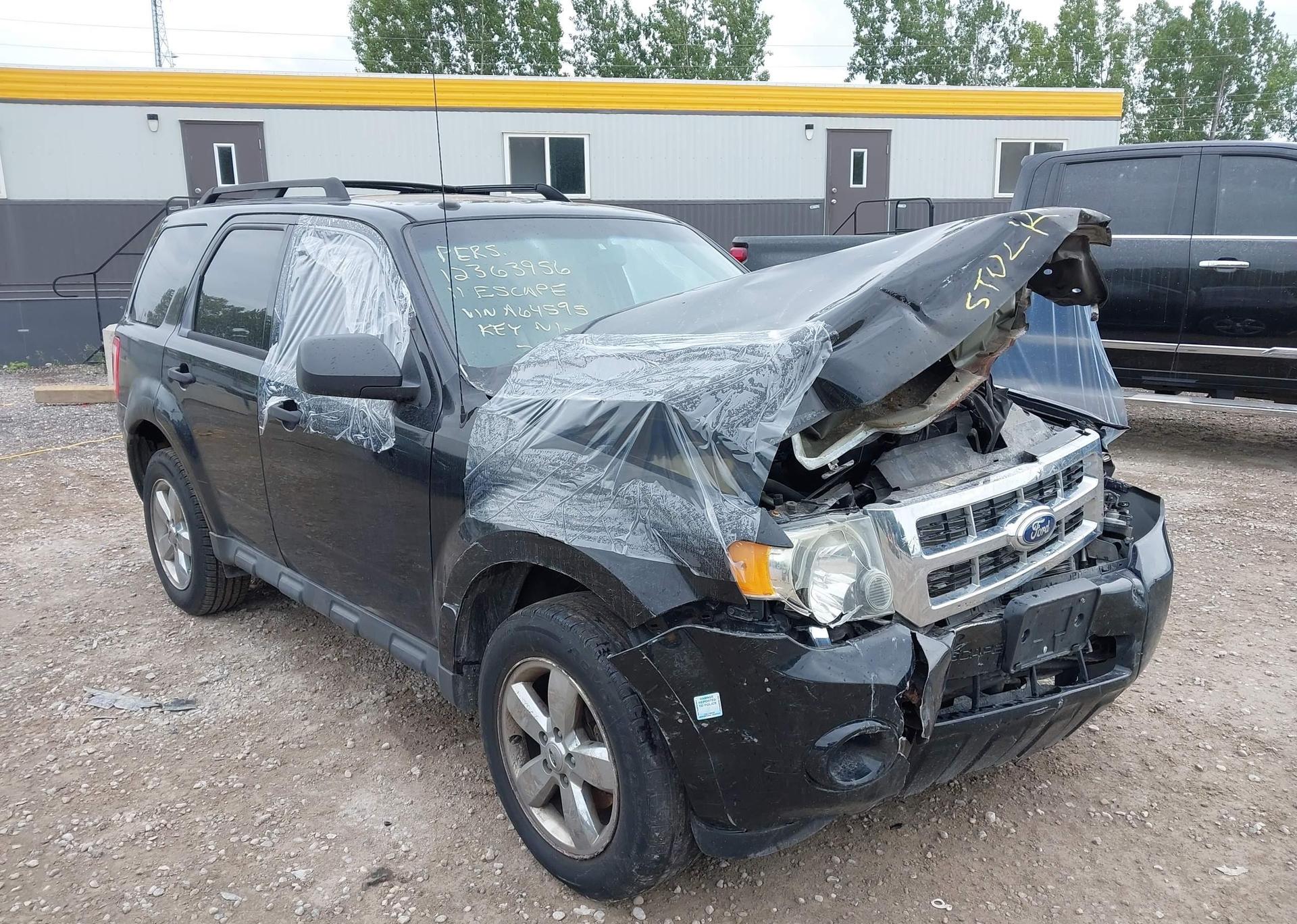 2011 FORD ESCAPE XLT