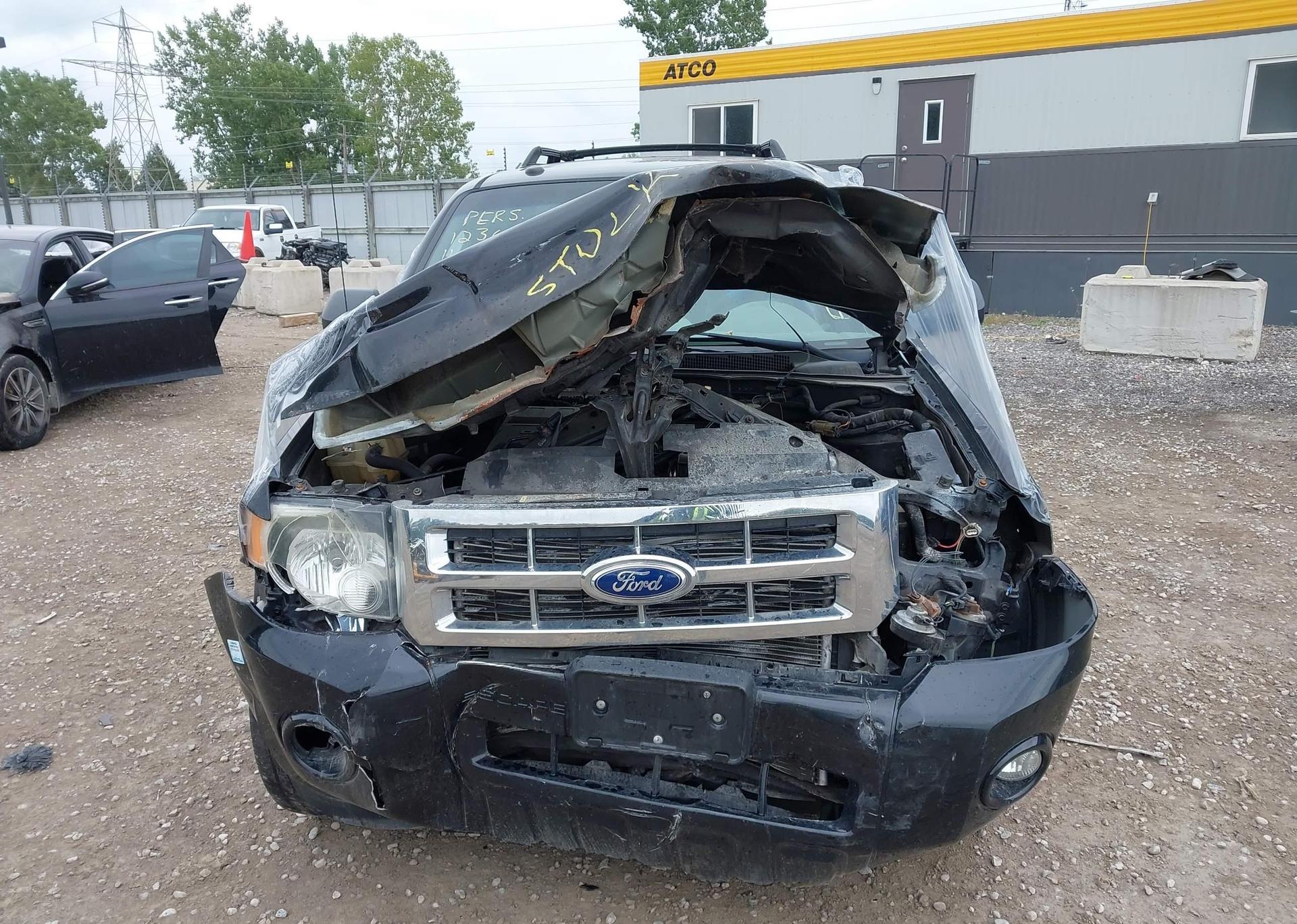 2011 FORD ESCAPE XLT