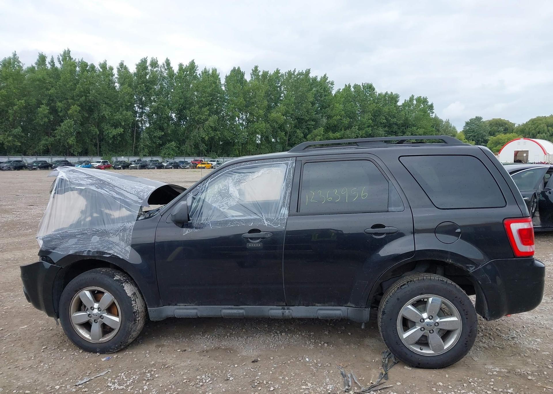 2011 FORD ESCAPE XLT