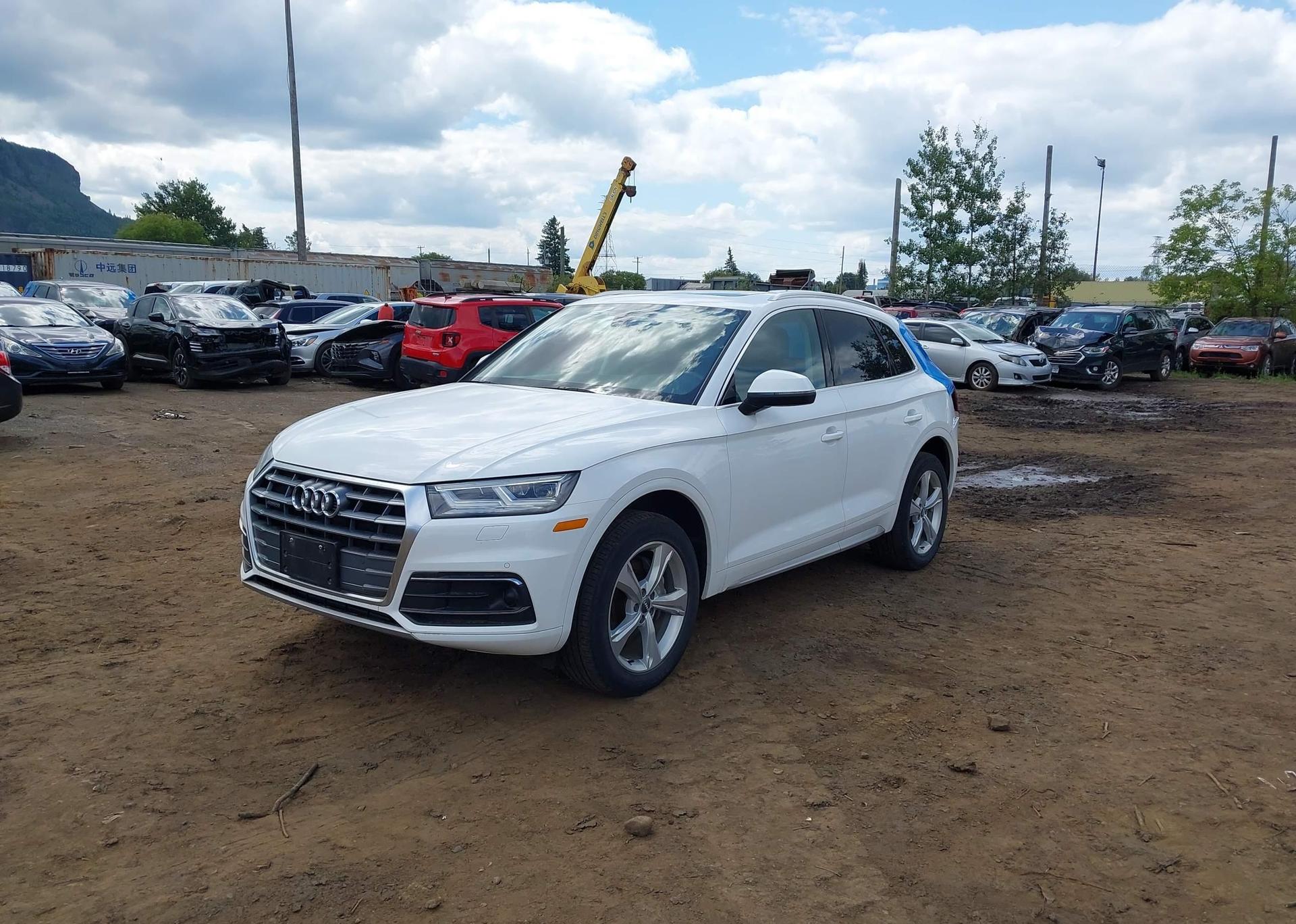 2020 AUDI Q5 45 PROGRESSIV