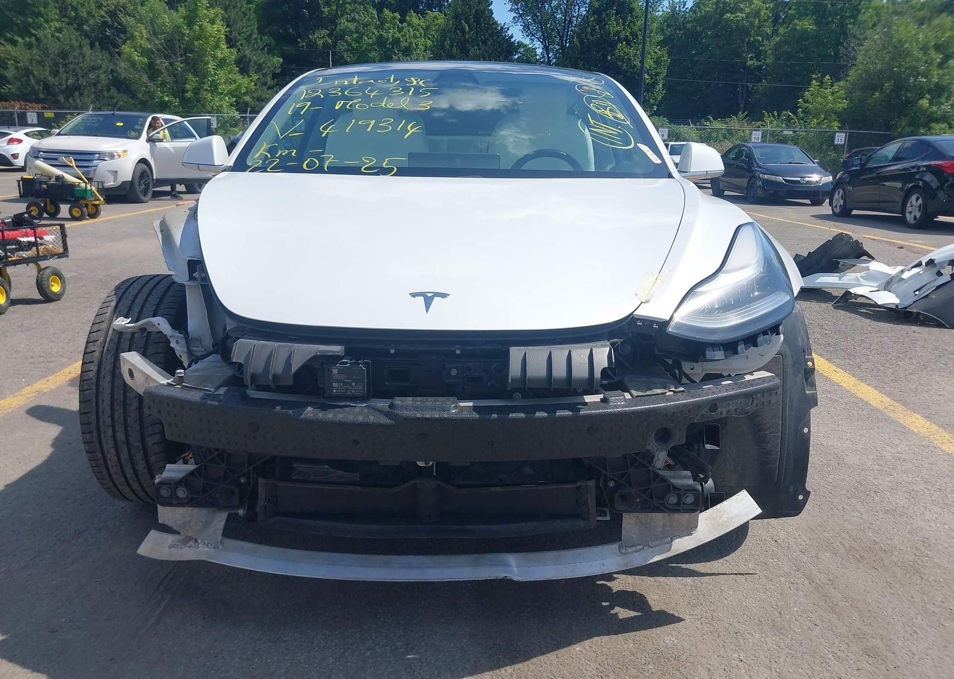 2019 TESLA MODEL 3 LONG RANGE