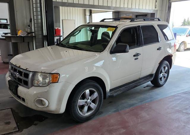 2010 FORD ESCAPE XLT