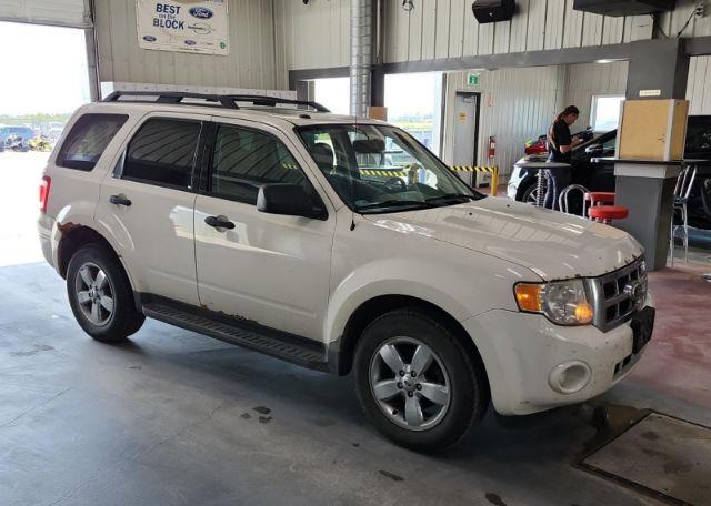 2010 FORD ESCAPE XLT