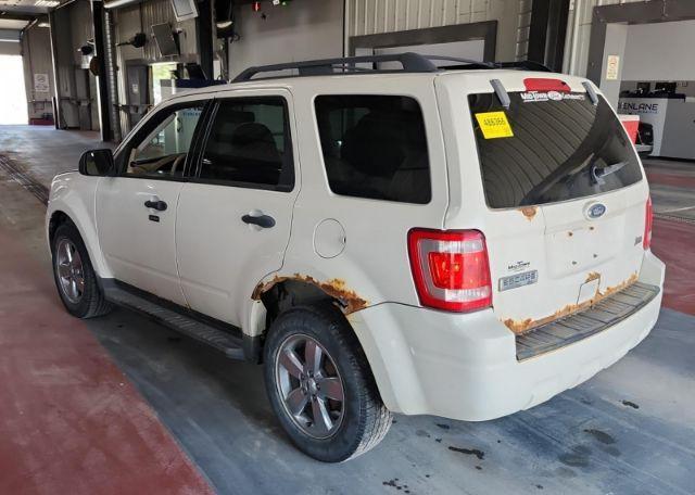 2010 FORD ESCAPE XLT