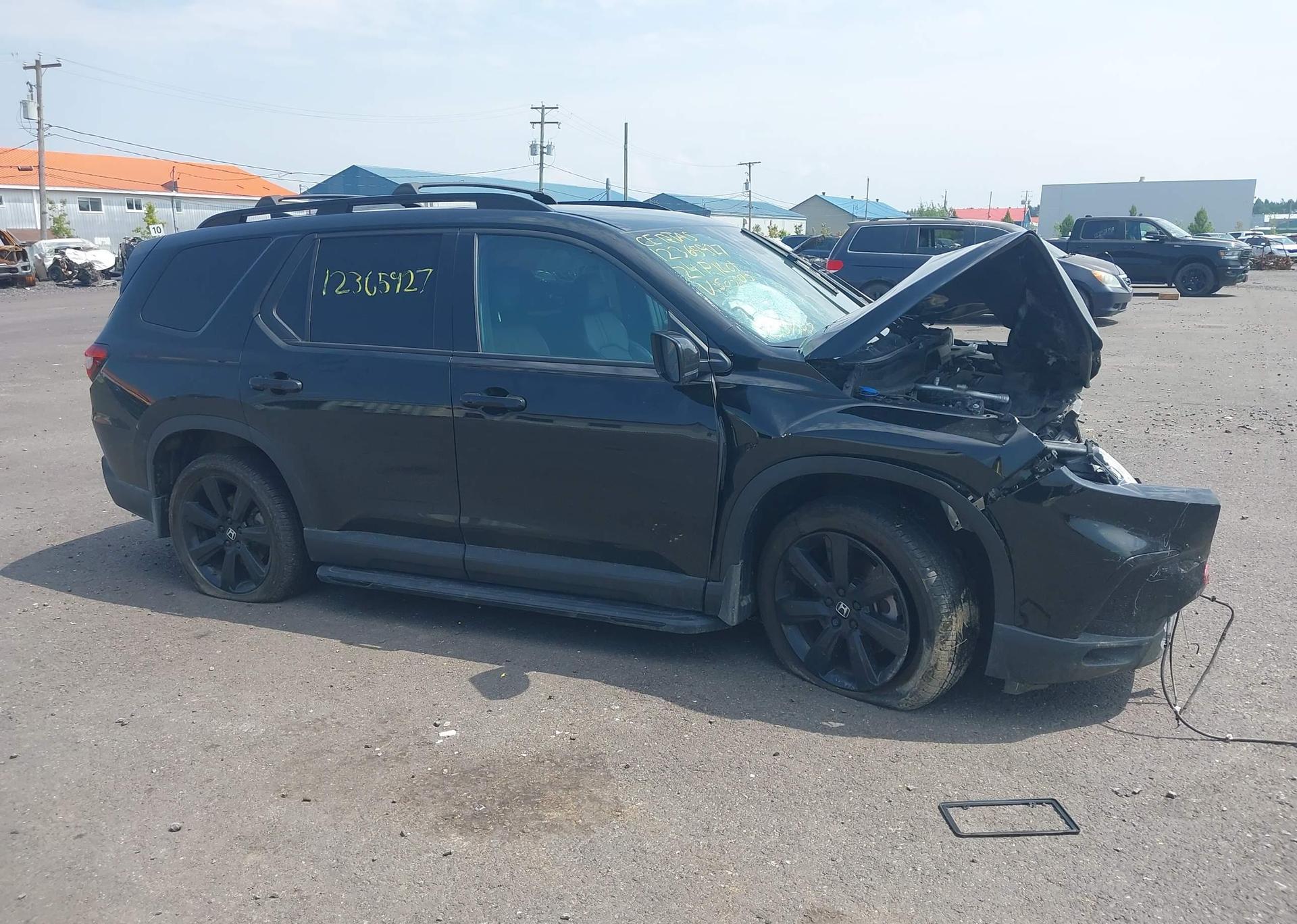 2024 HONDA PILOT BLACK EDITION