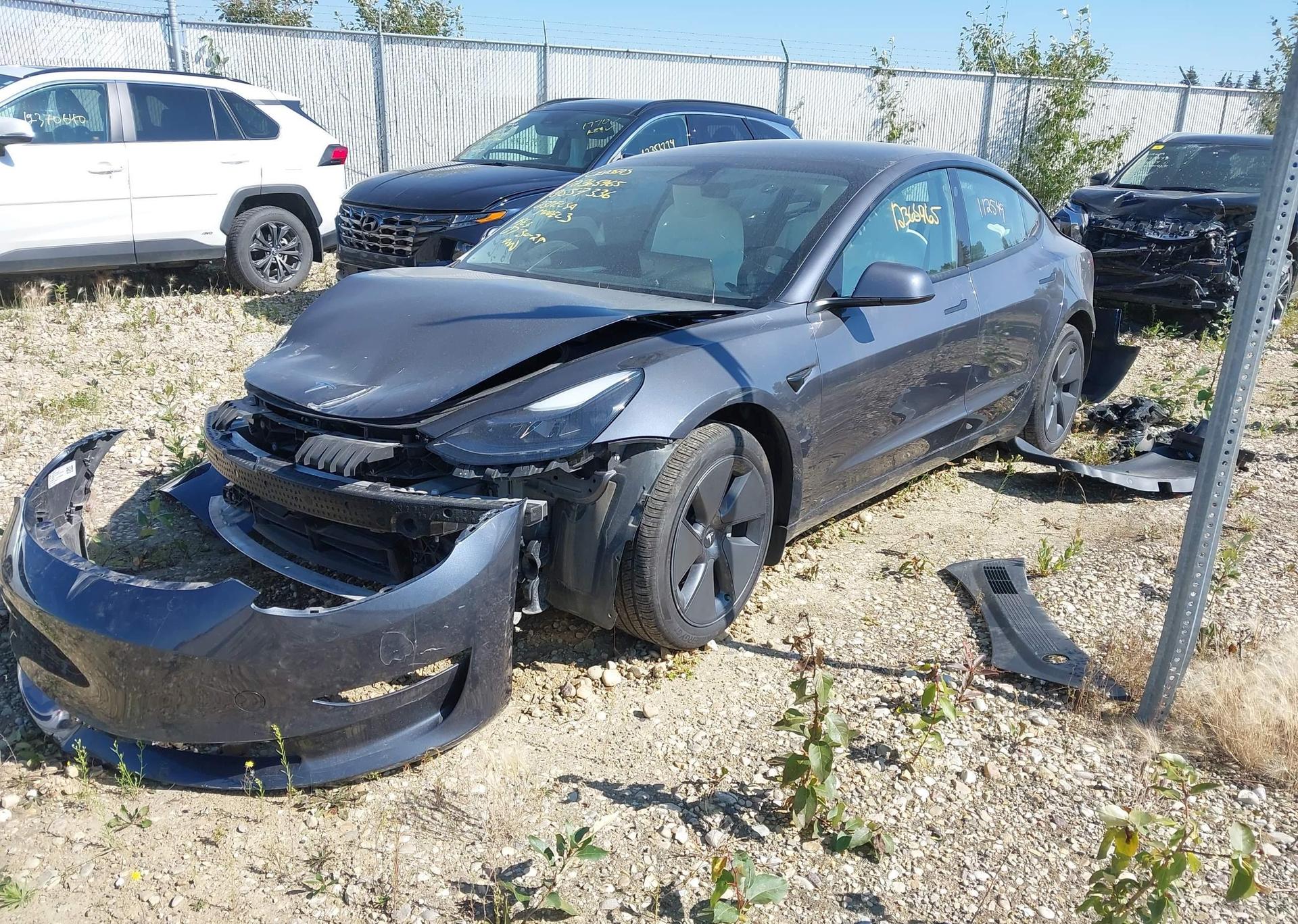 2023 TESLA MODEL 3