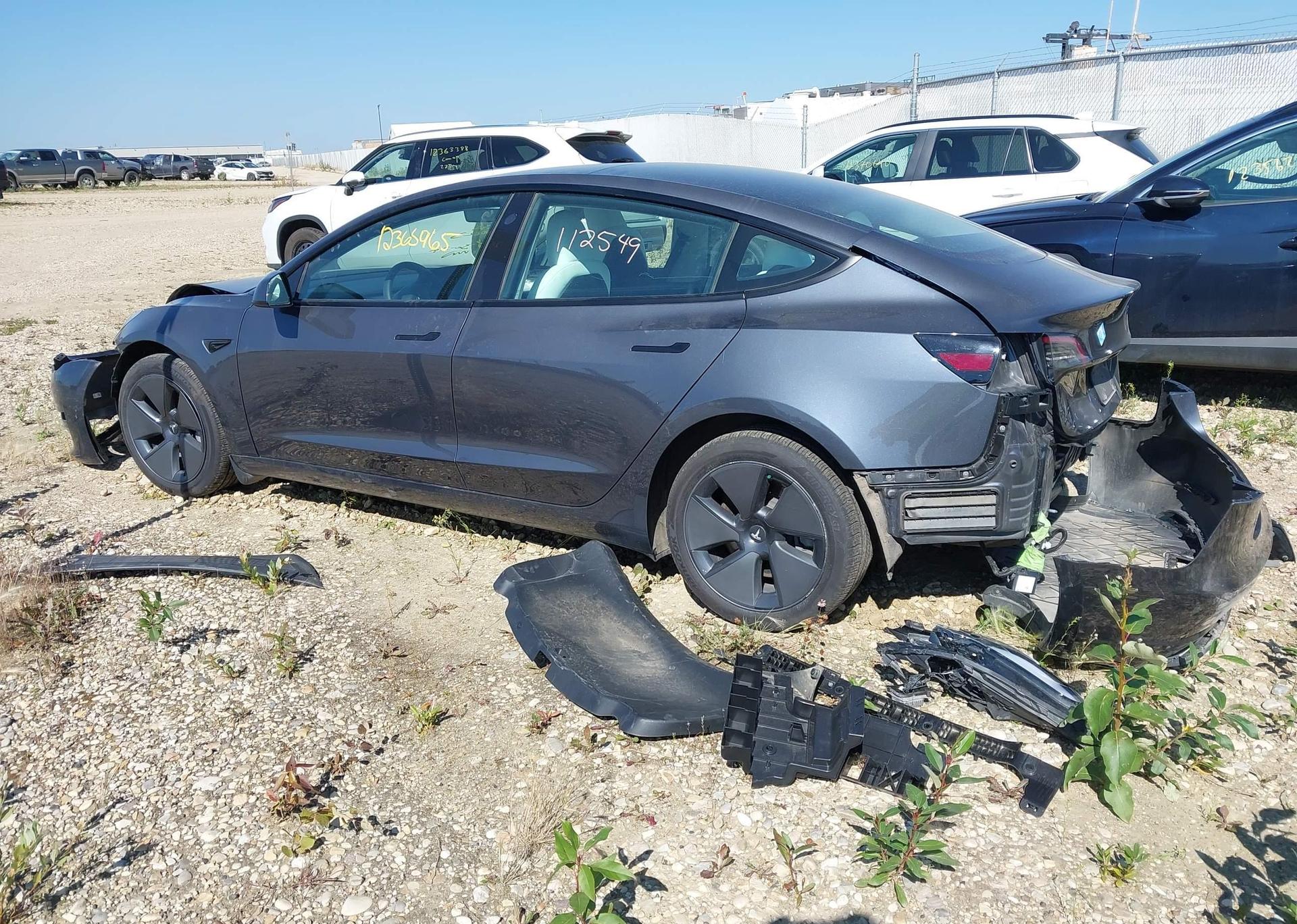 2023 TESLA MODEL 3
