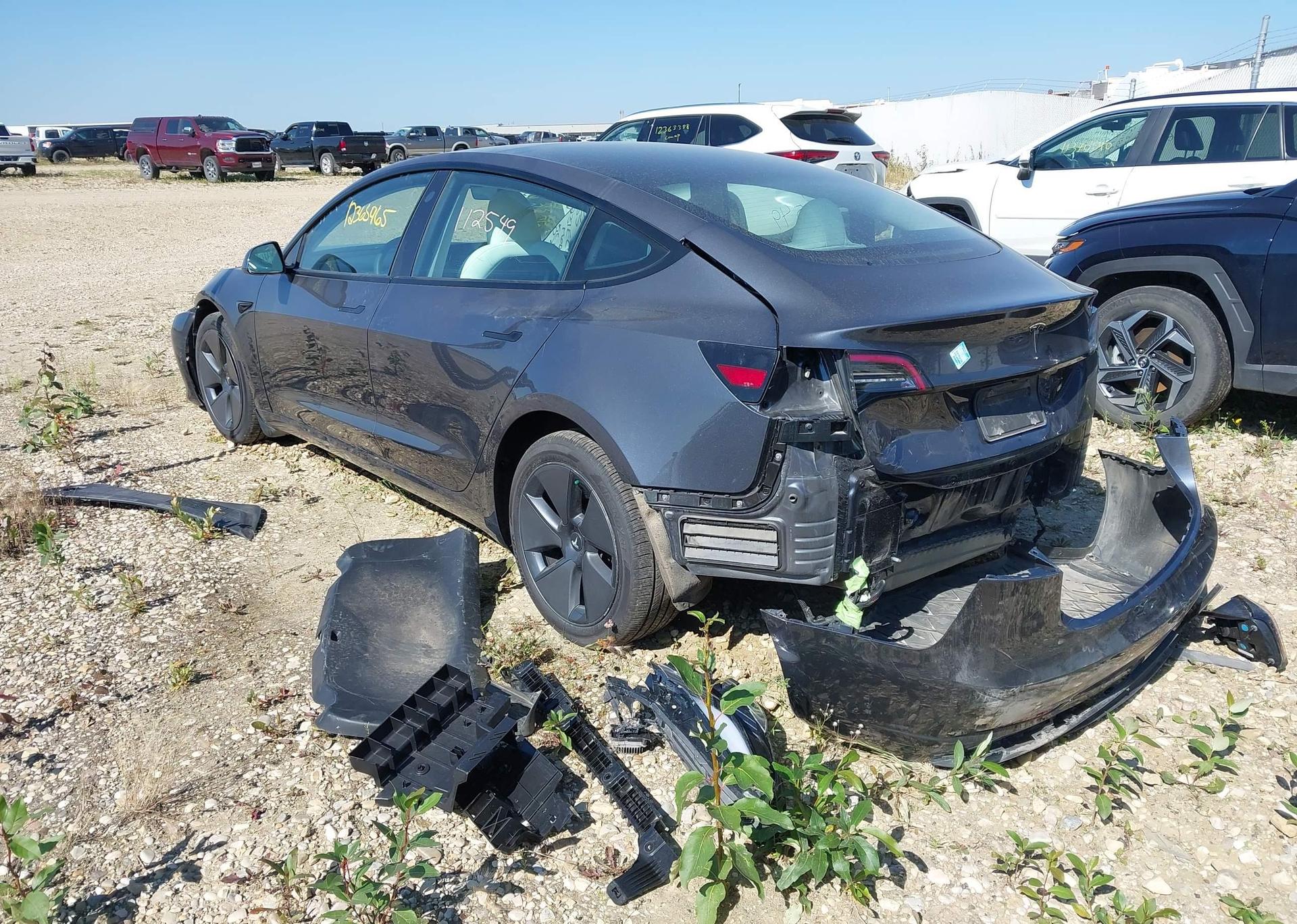 2023 TESLA MODEL 3
