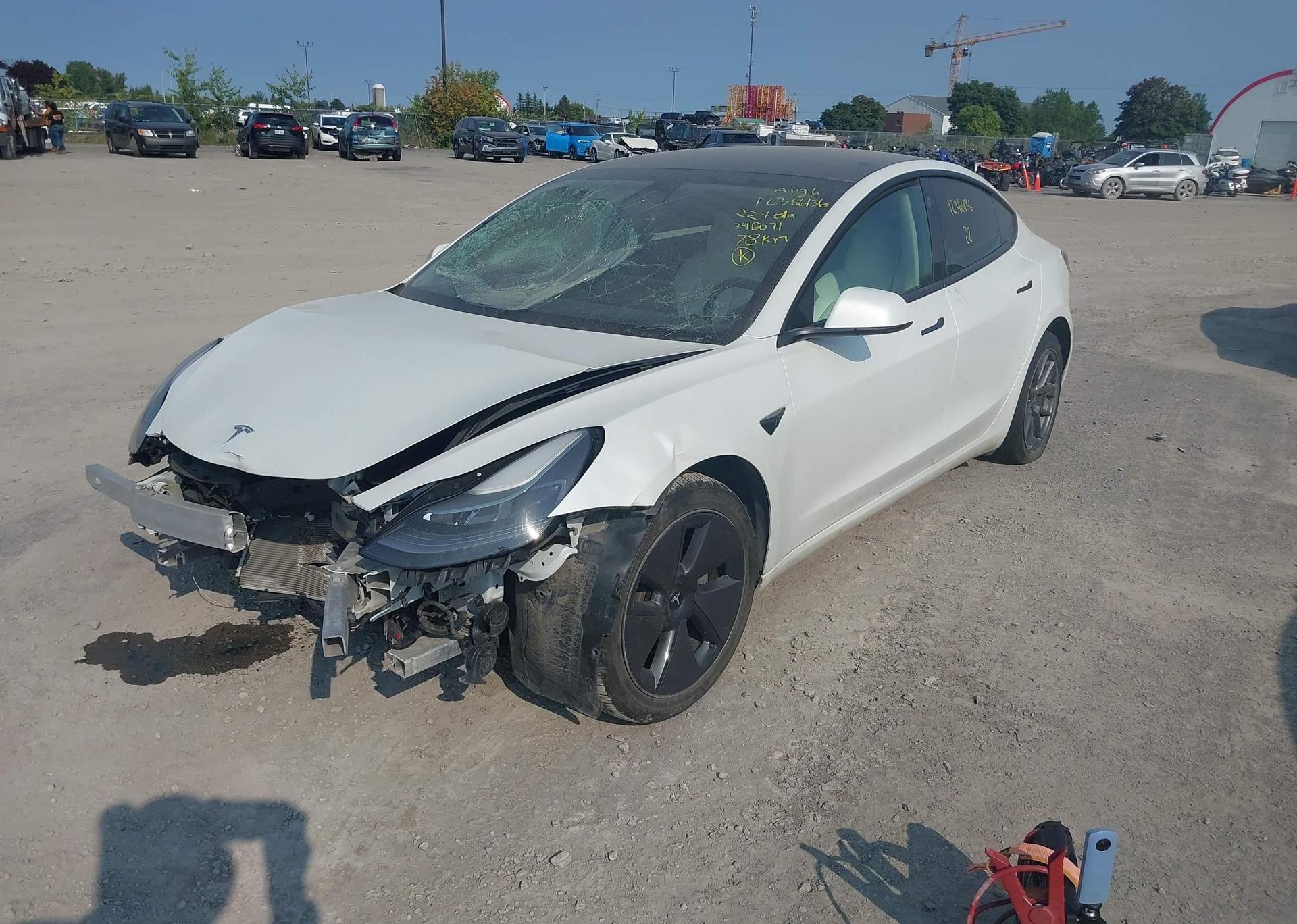 2022 TESLA MODEL 3 RWD