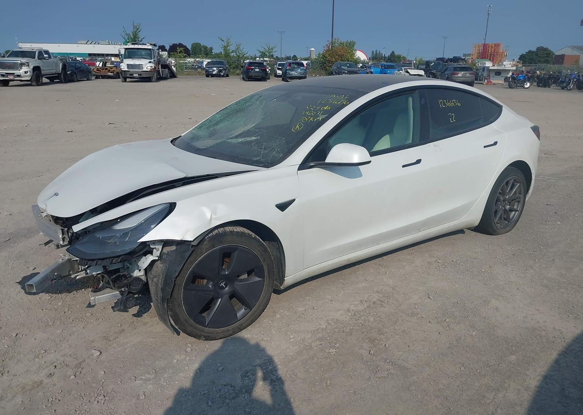 2022 TESLA MODEL 3 RWD