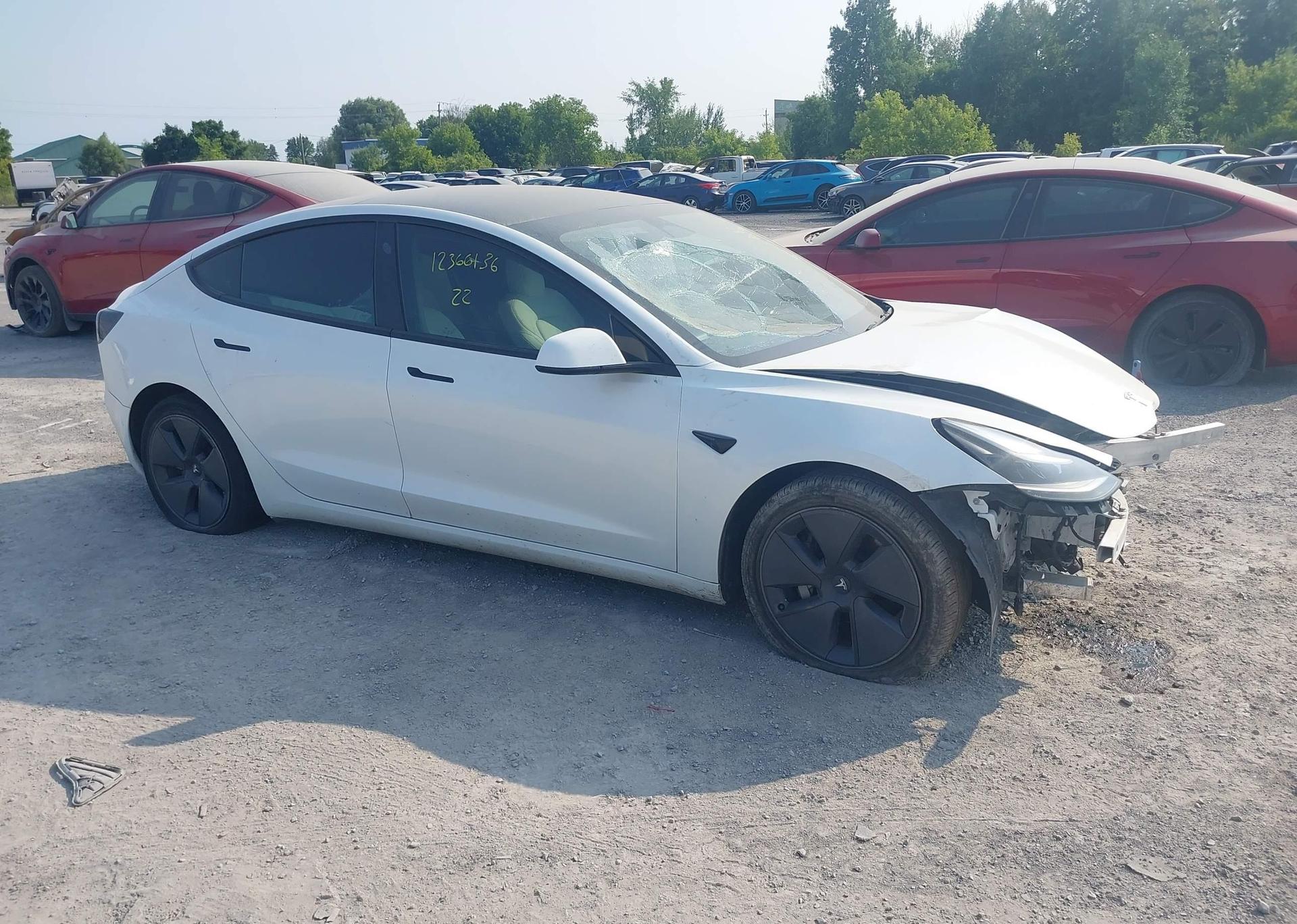 2022 TESLA MODEL 3 RWD