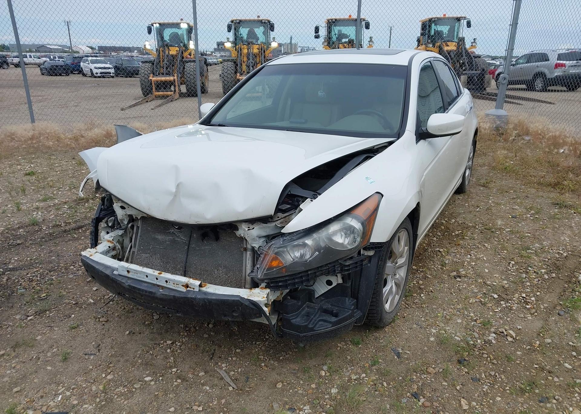 2010 HONDA ACCORD EXL