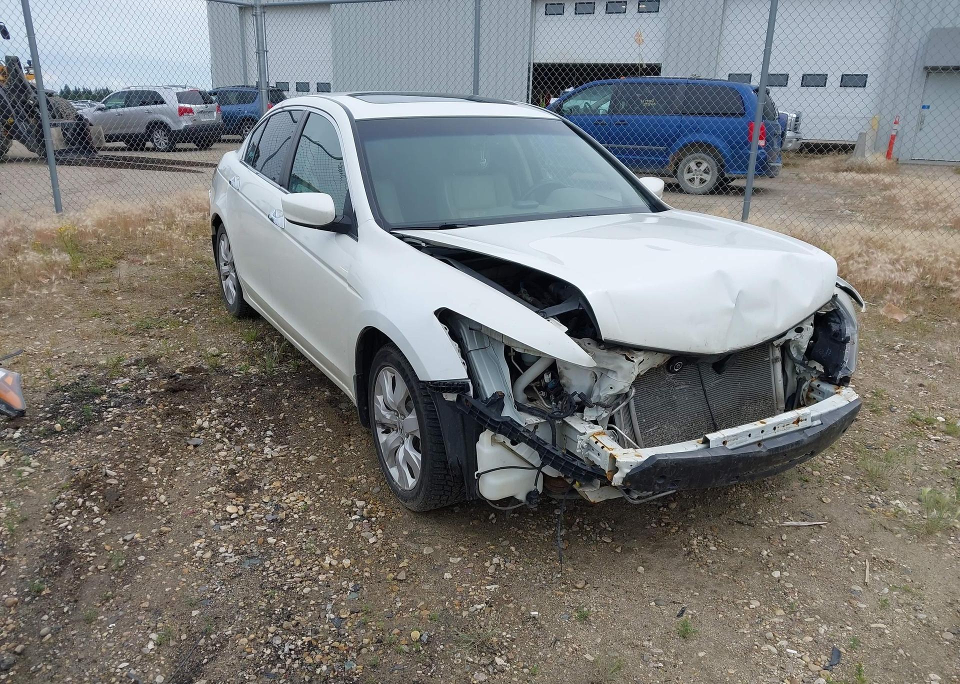 2010 HONDA ACCORD EXL