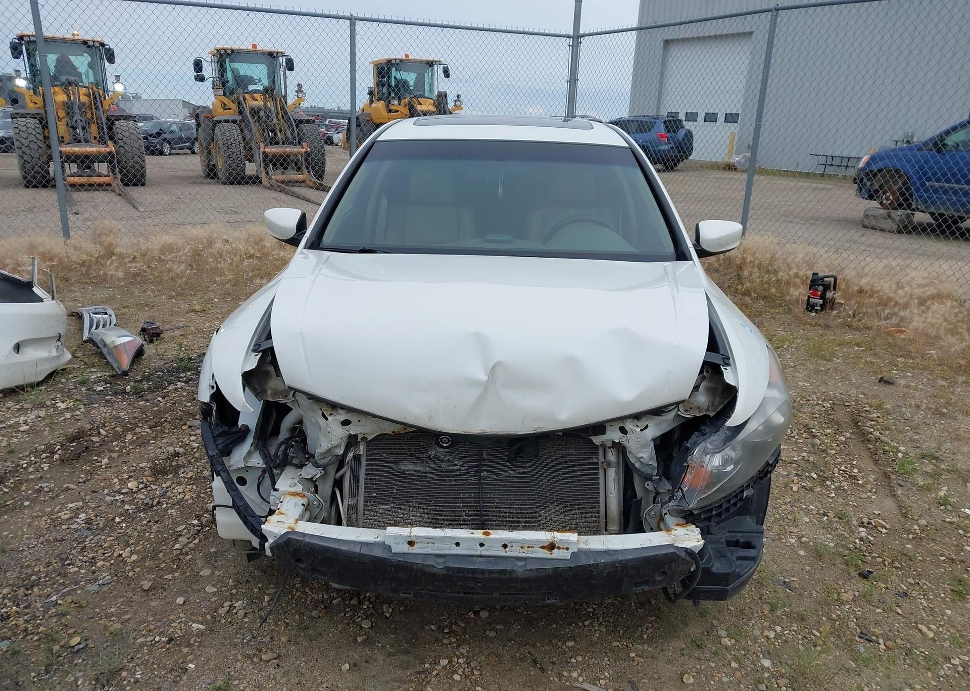 2010 HONDA ACCORD EXL