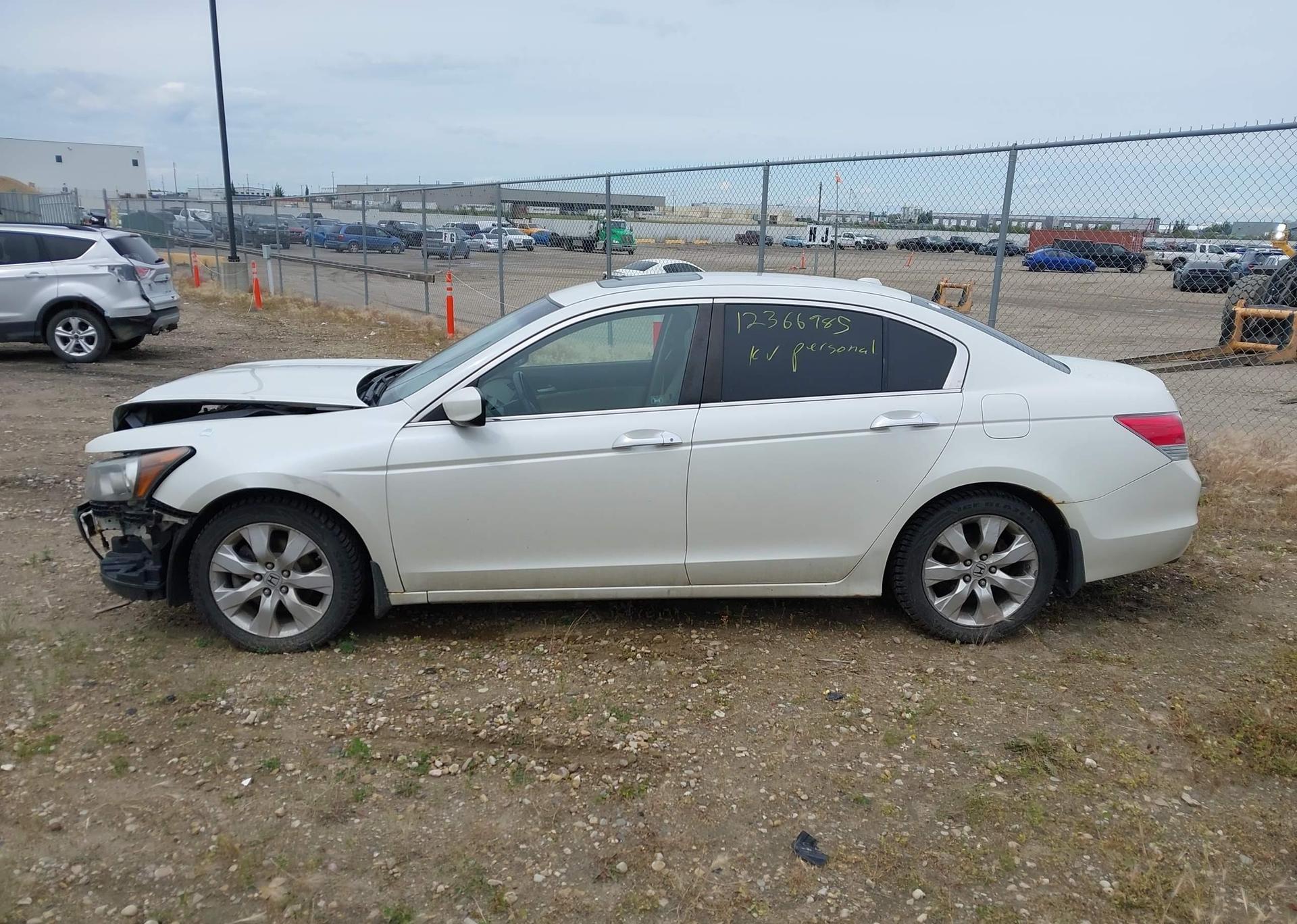 2010 HONDA ACCORD EXL