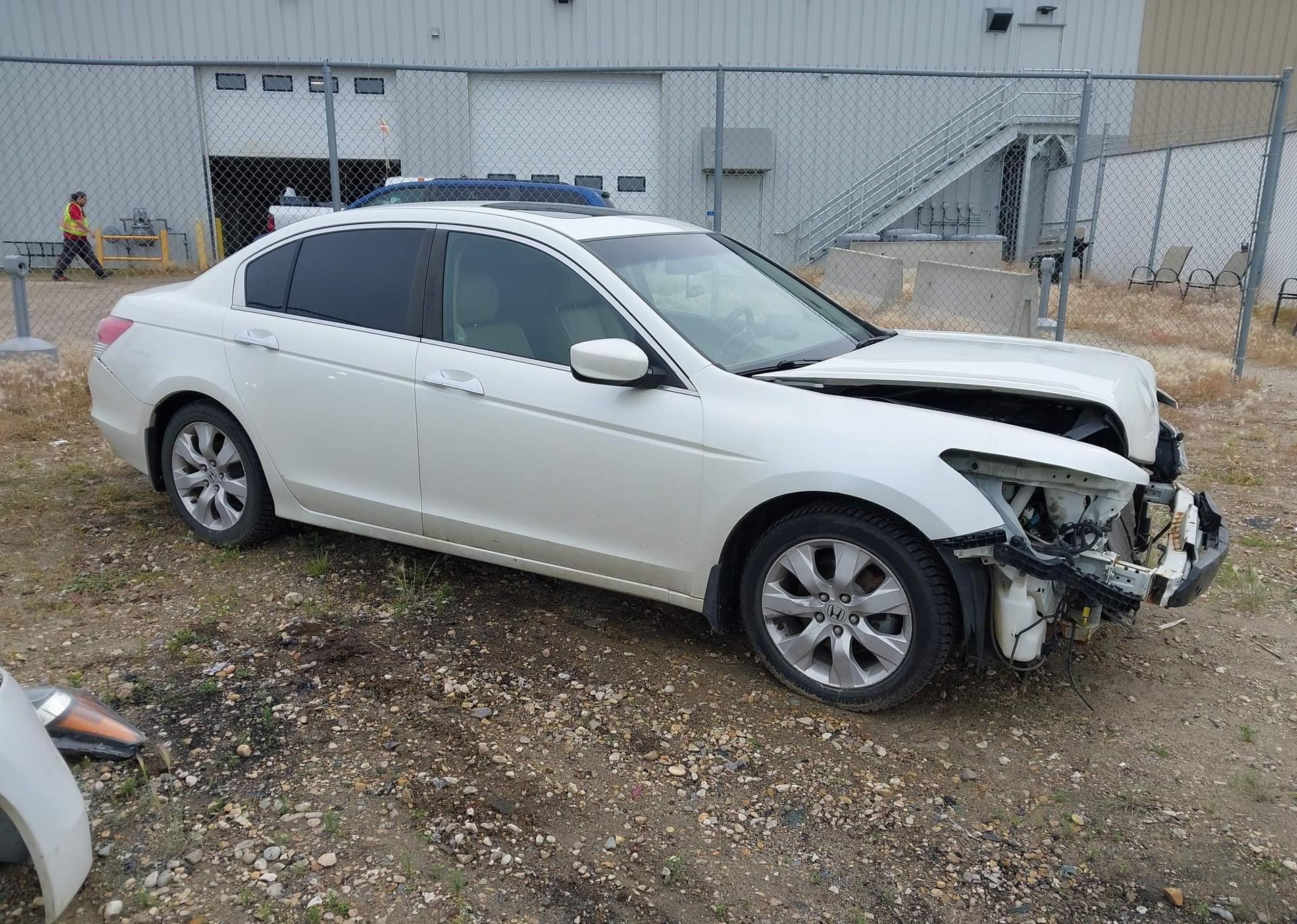 2010 HONDA ACCORD EXL