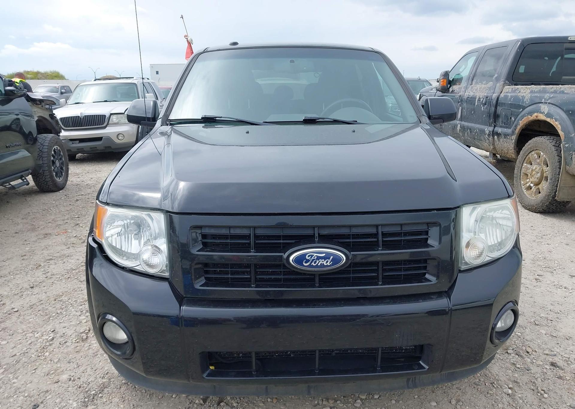 2012 FORD ESCAPE XLT