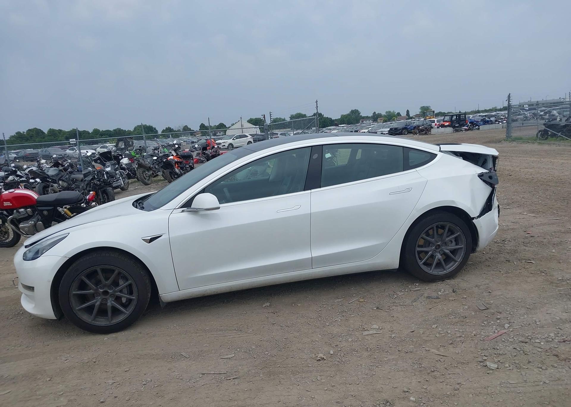 2020 TESLA MODEL 3 STANDARD RANGE PLUS