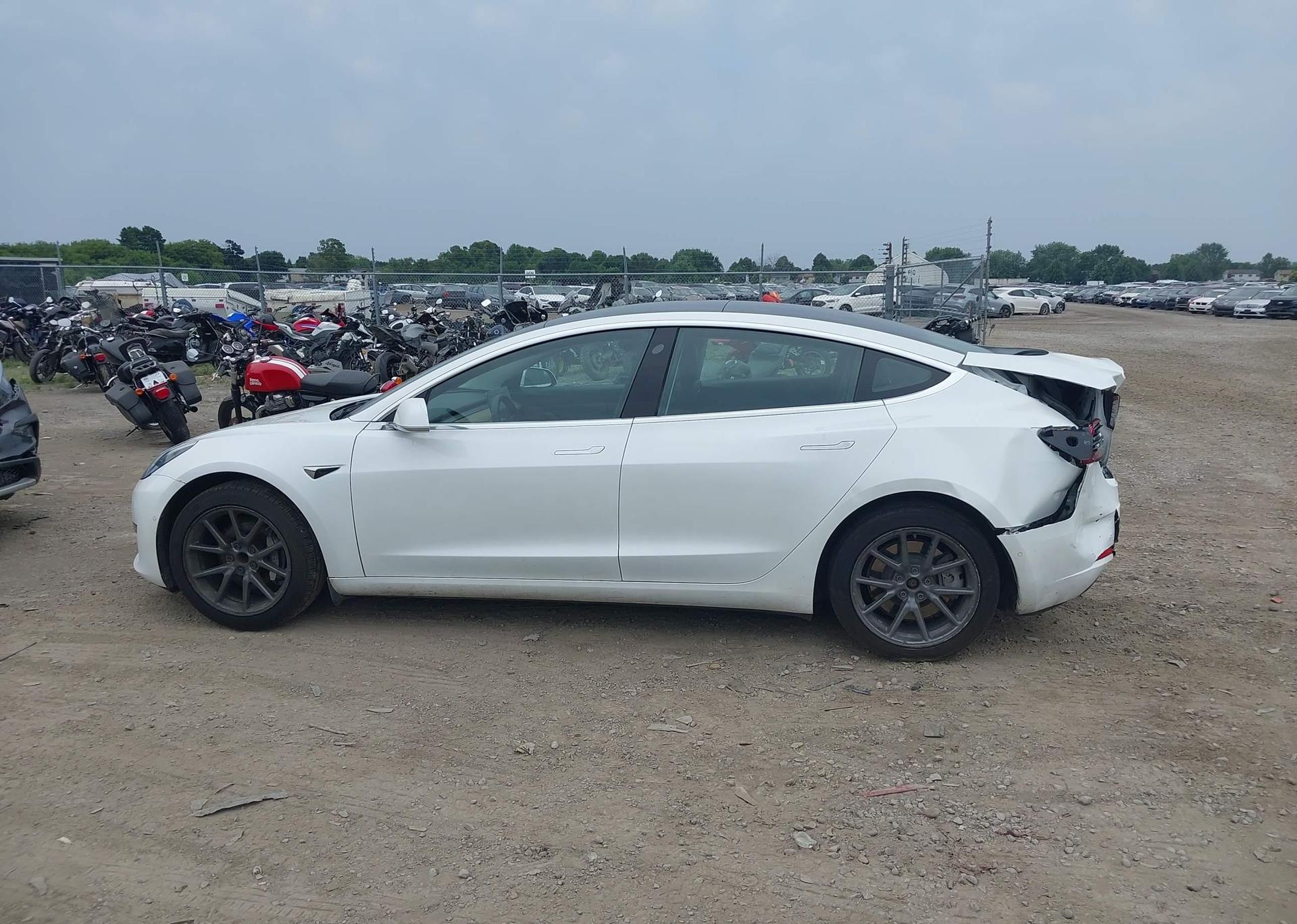 2020 TESLA MODEL 3 STANDARD RANGE PLUS