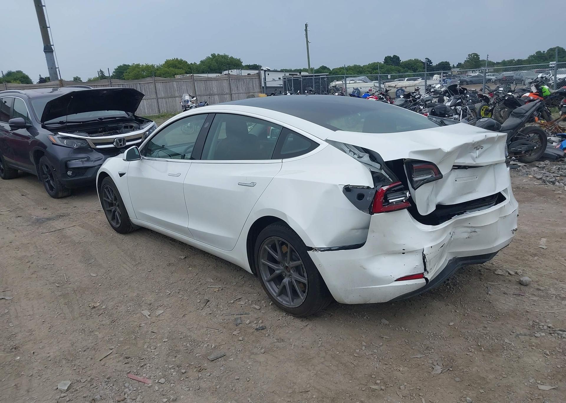 2020 TESLA MODEL 3 STANDARD RANGE PLUS
