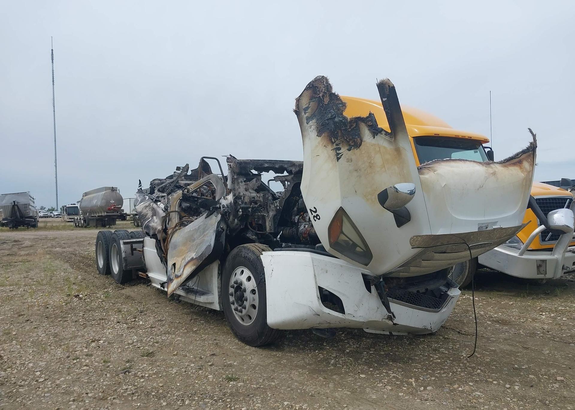2019 FREIGHTLINER NEW CASCADIA 126