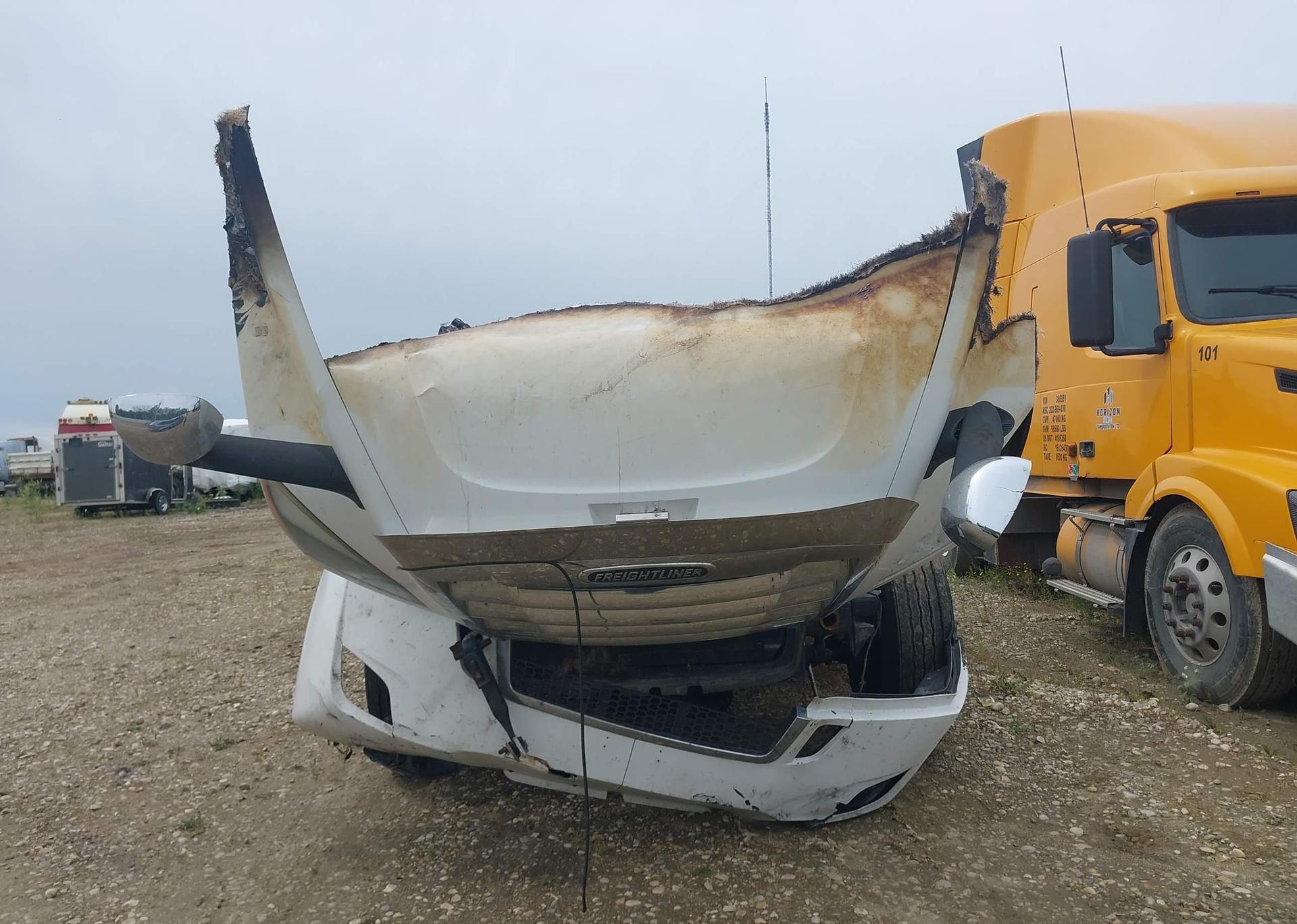 2019 FREIGHTLINER NEW CASCADIA 126