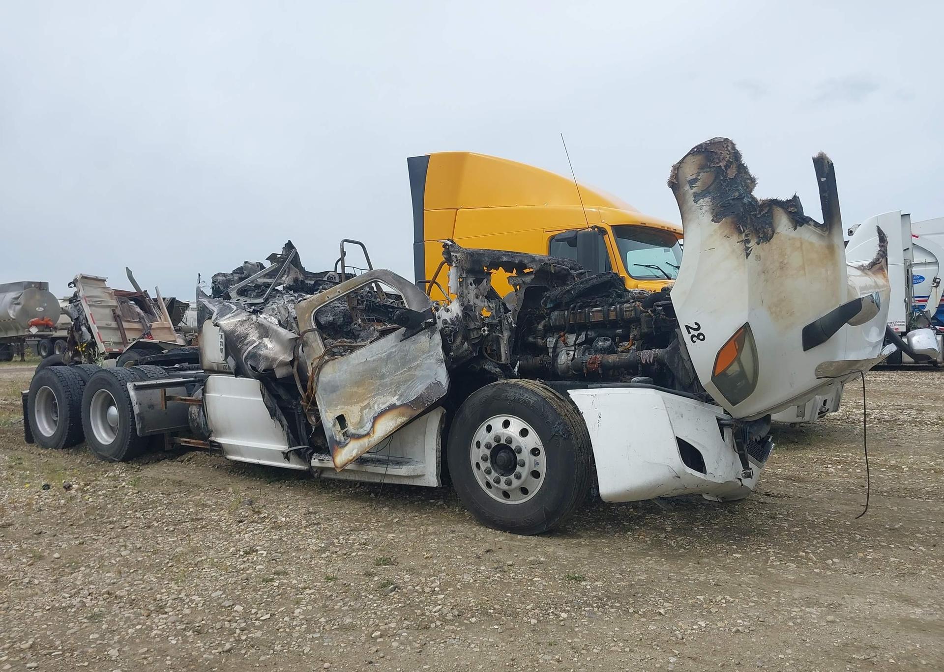 2019 FREIGHTLINER NEW CASCADIA 126