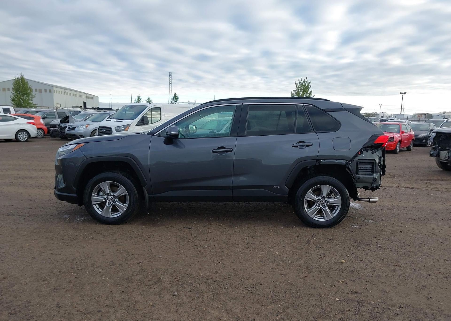 2024 TOYOTA RAV4 XLE