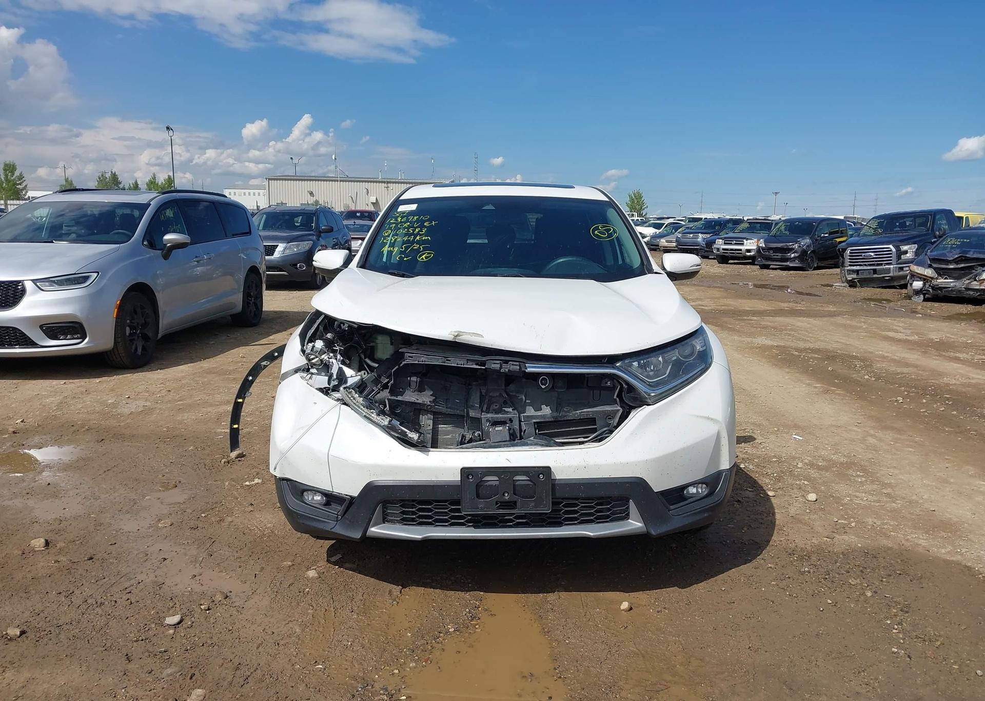 2019 HONDA CR-V EX