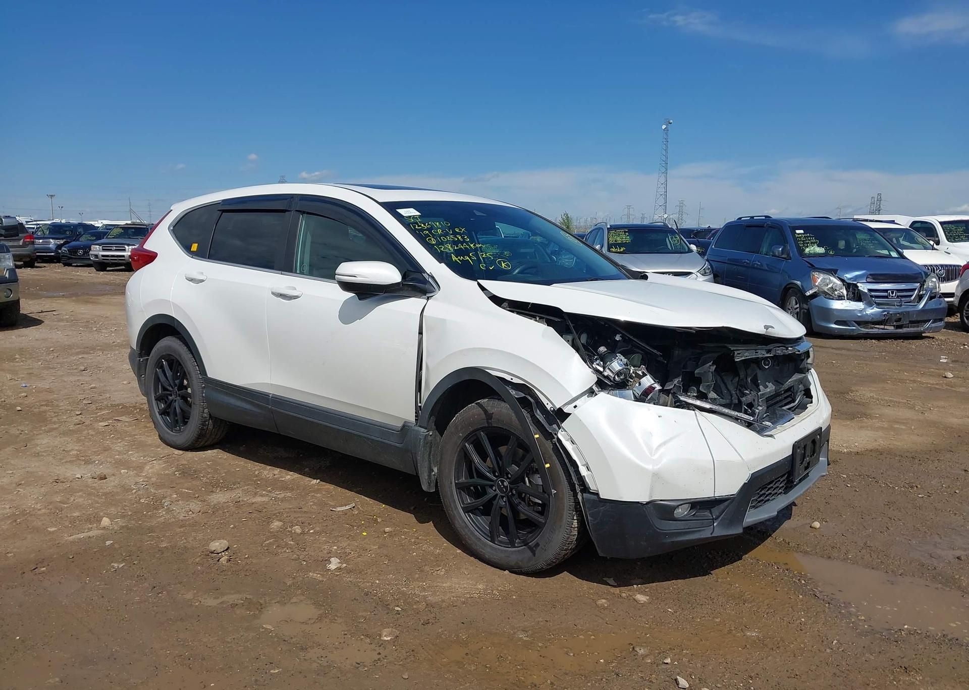 2019 HONDA CR-V EX