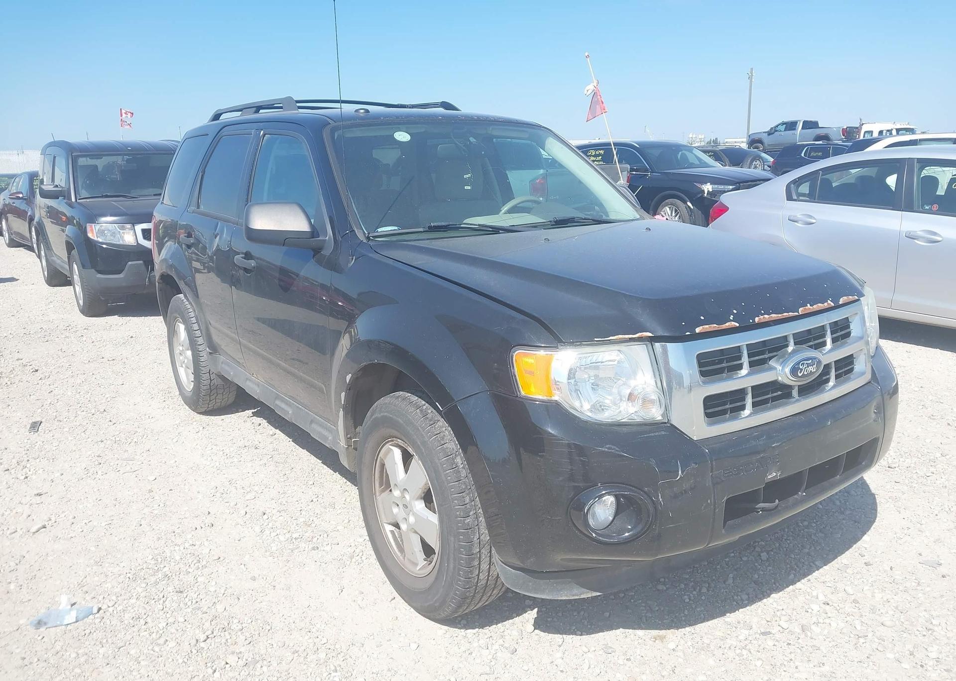 2012 FORD ESCAPE XLT