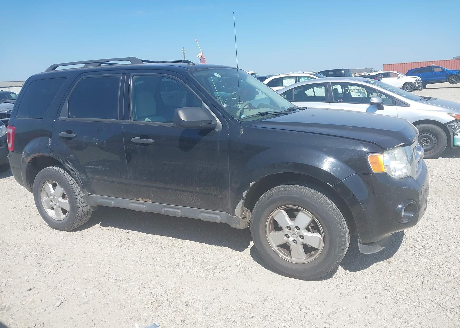 2012 FORD ESCAPE XLT