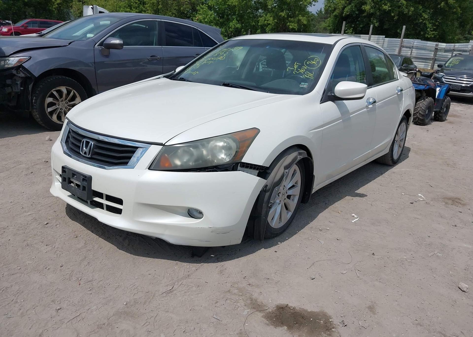 2009 HONDA ACCORD EX-L V6
