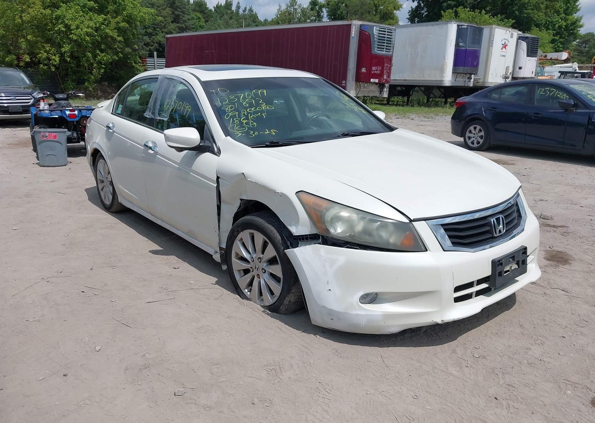 2009 HONDA ACCORD EX-L V6