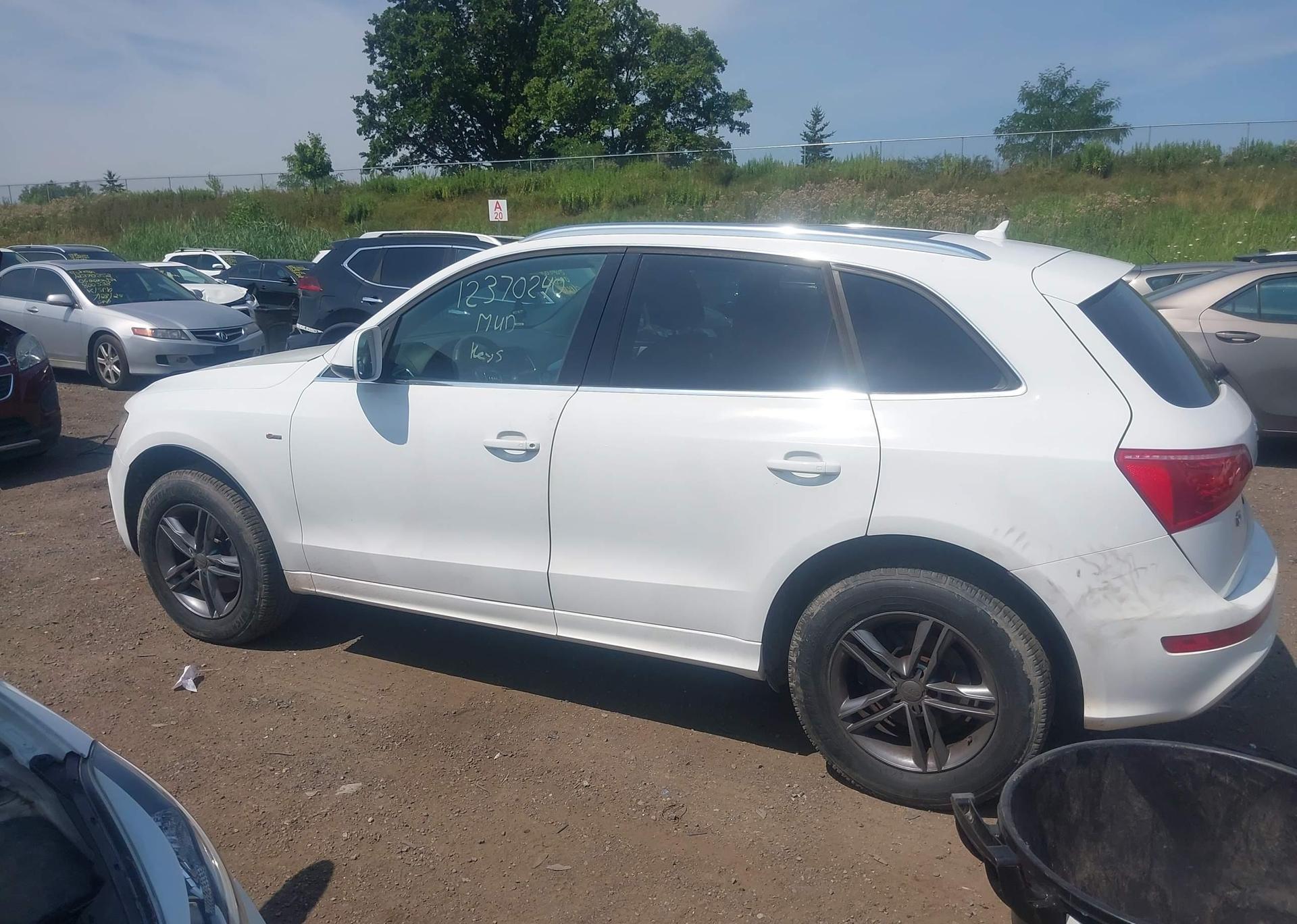 2009 AUDI Q5 3.2