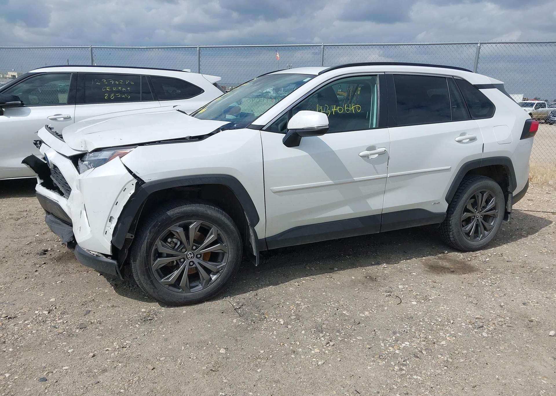2023 TOYOTA RAV4 XLE