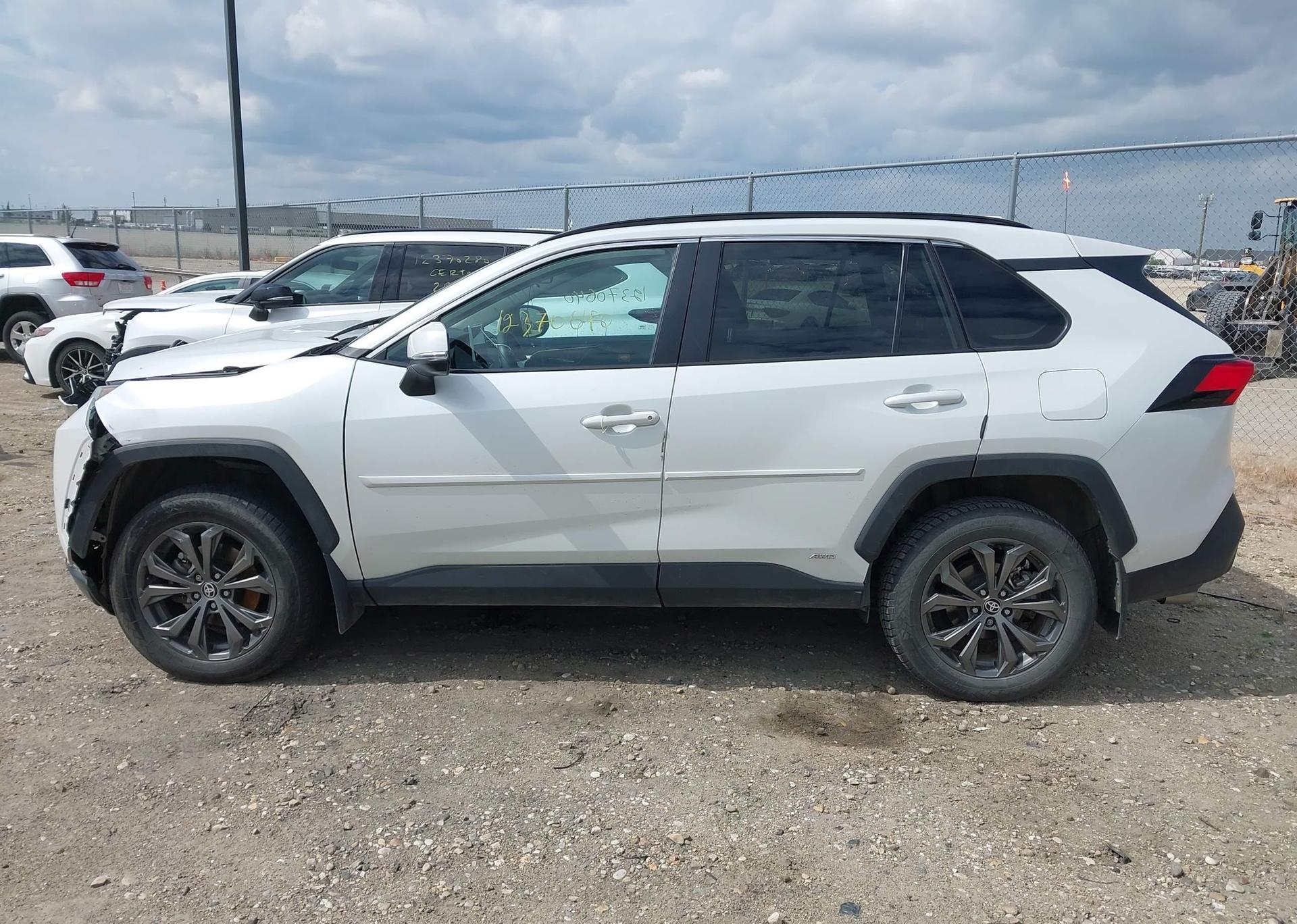 2023 TOYOTA RAV4 XLE