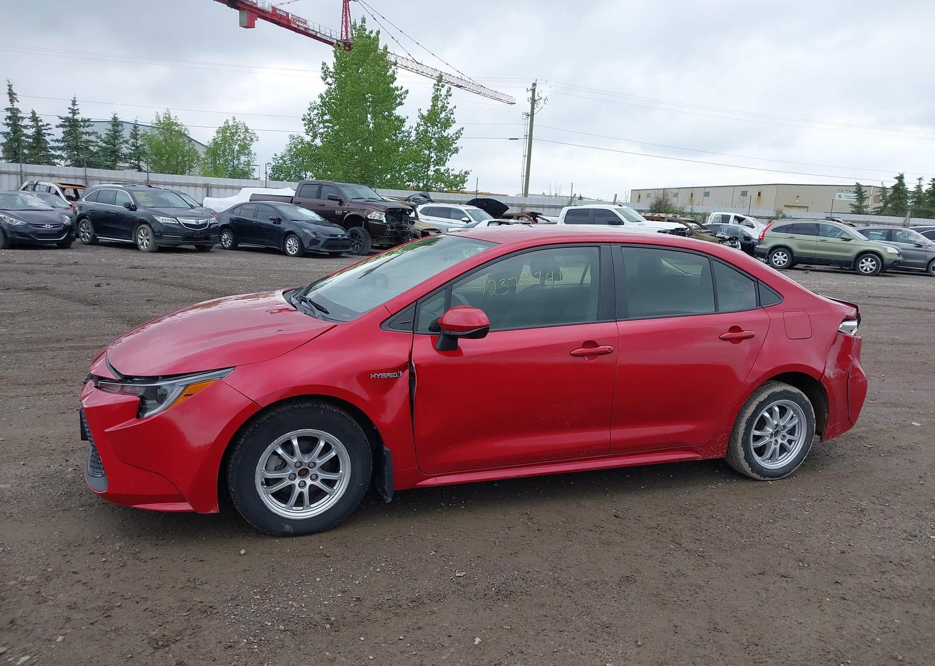 2021 TOYOTA COROLLA