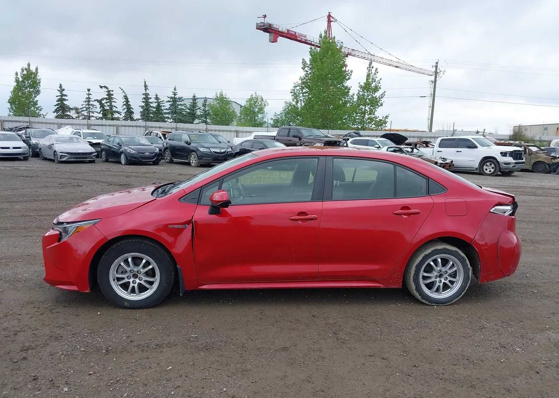 2021 TOYOTA COROLLA