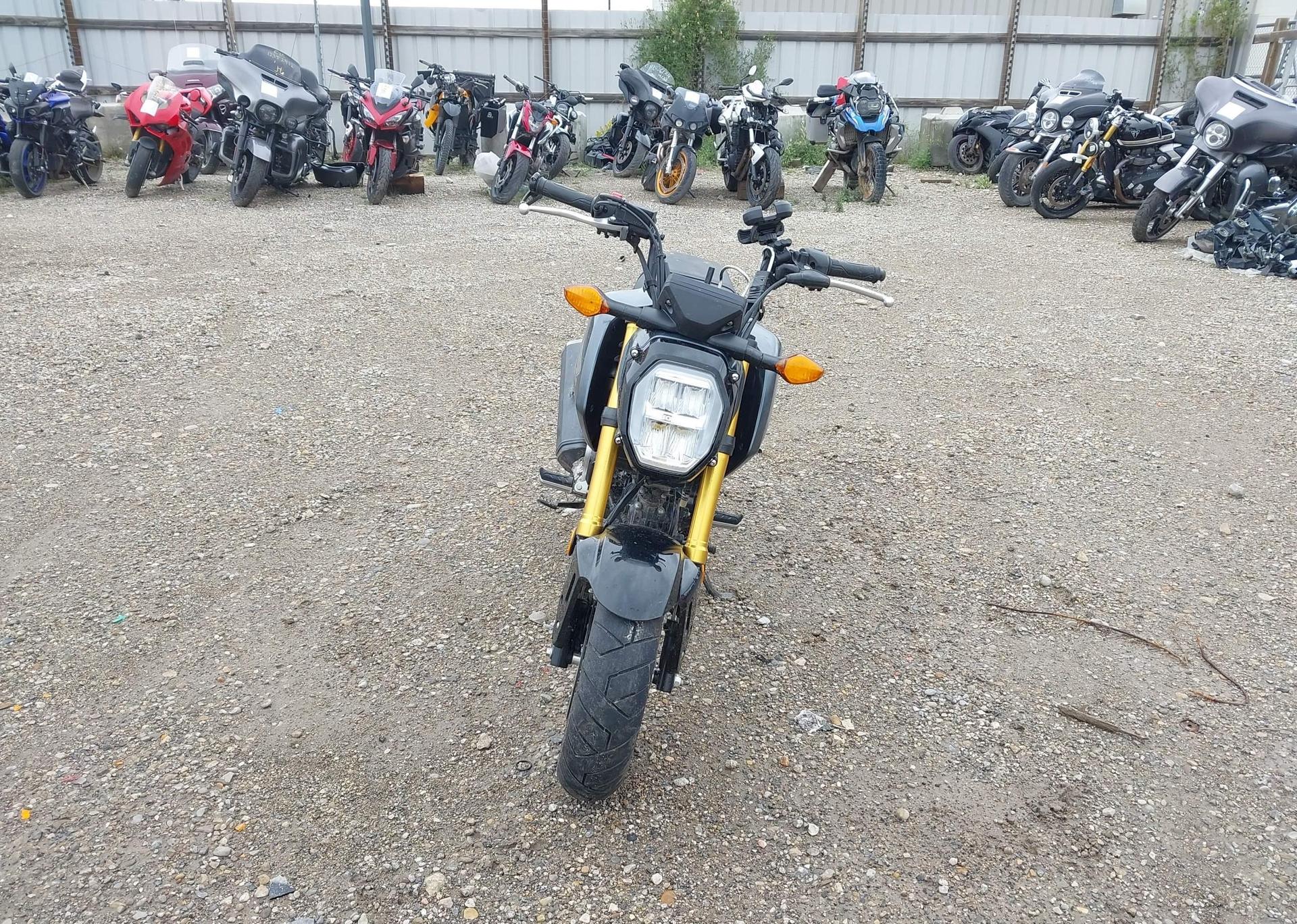 2024 HONDA GROM A