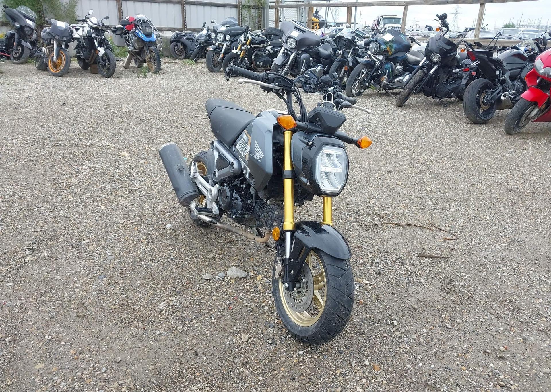 2024 HONDA GROM A