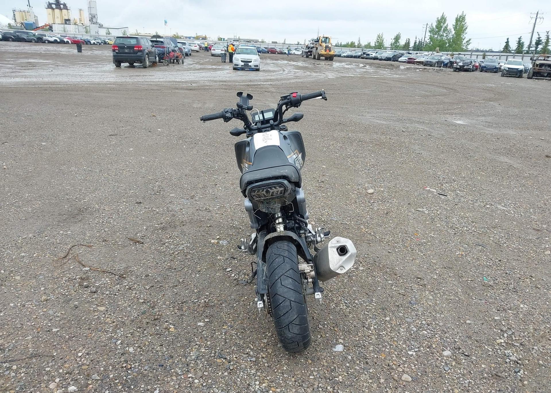 2024 HONDA GROM A