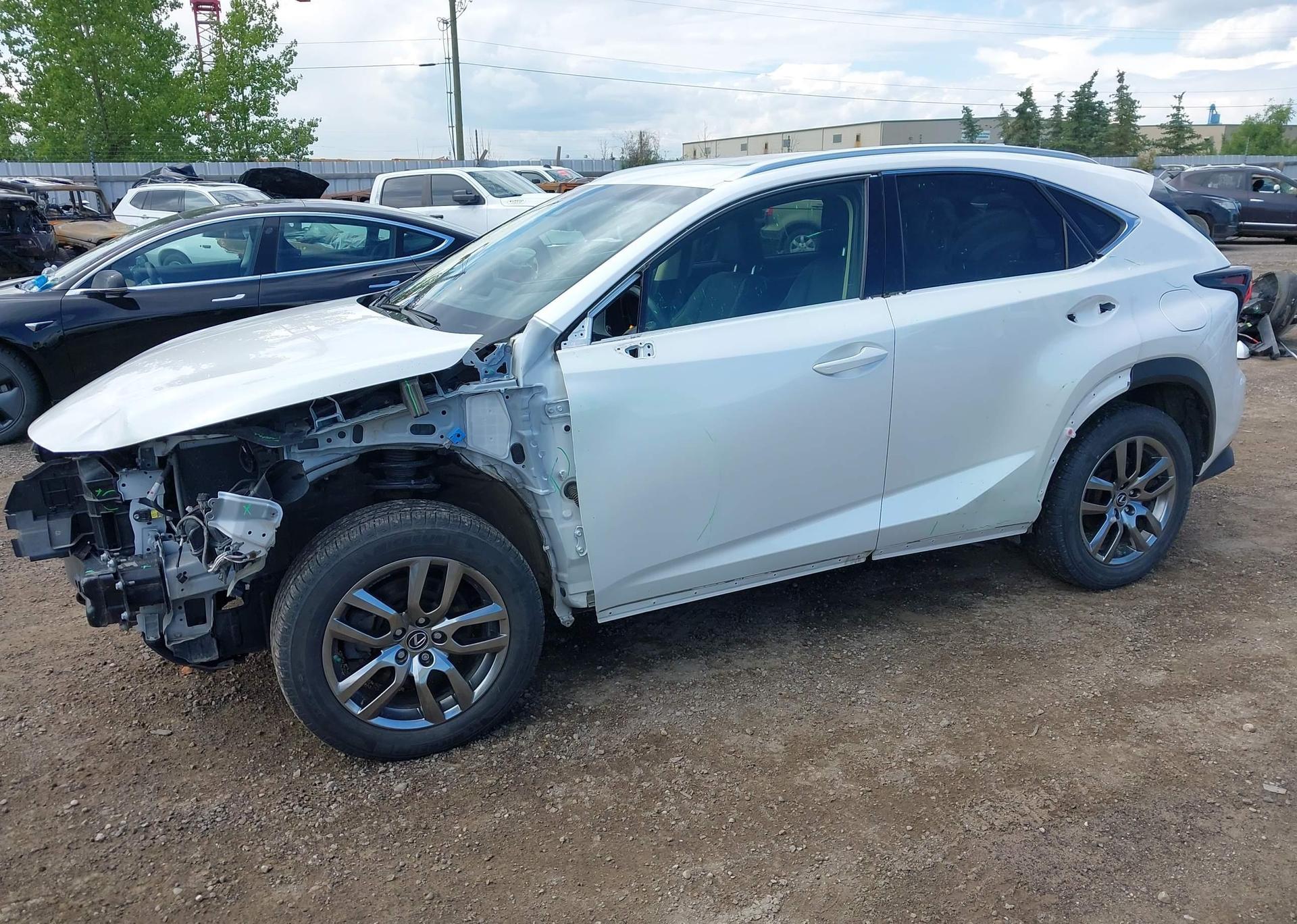 2019 LEXUS NX 300