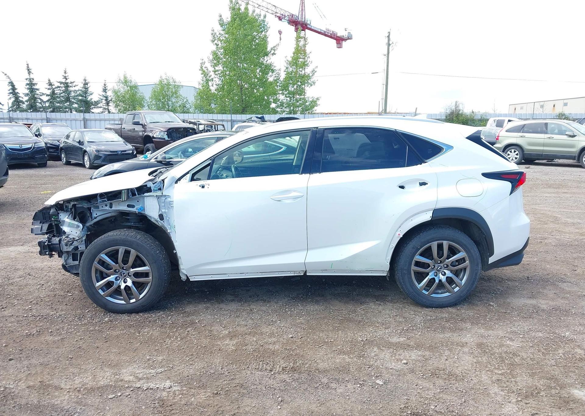 2019 LEXUS NX 300