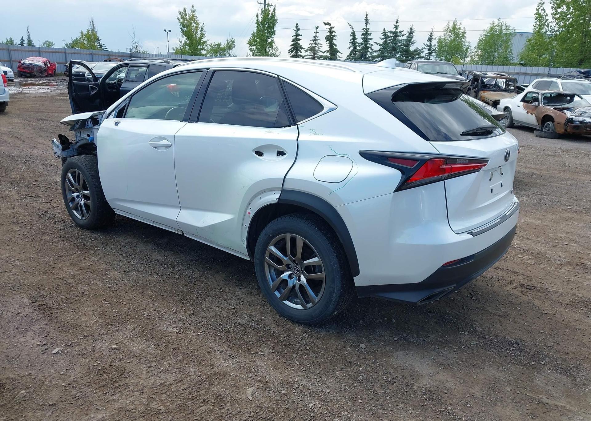 2019 LEXUS NX 300