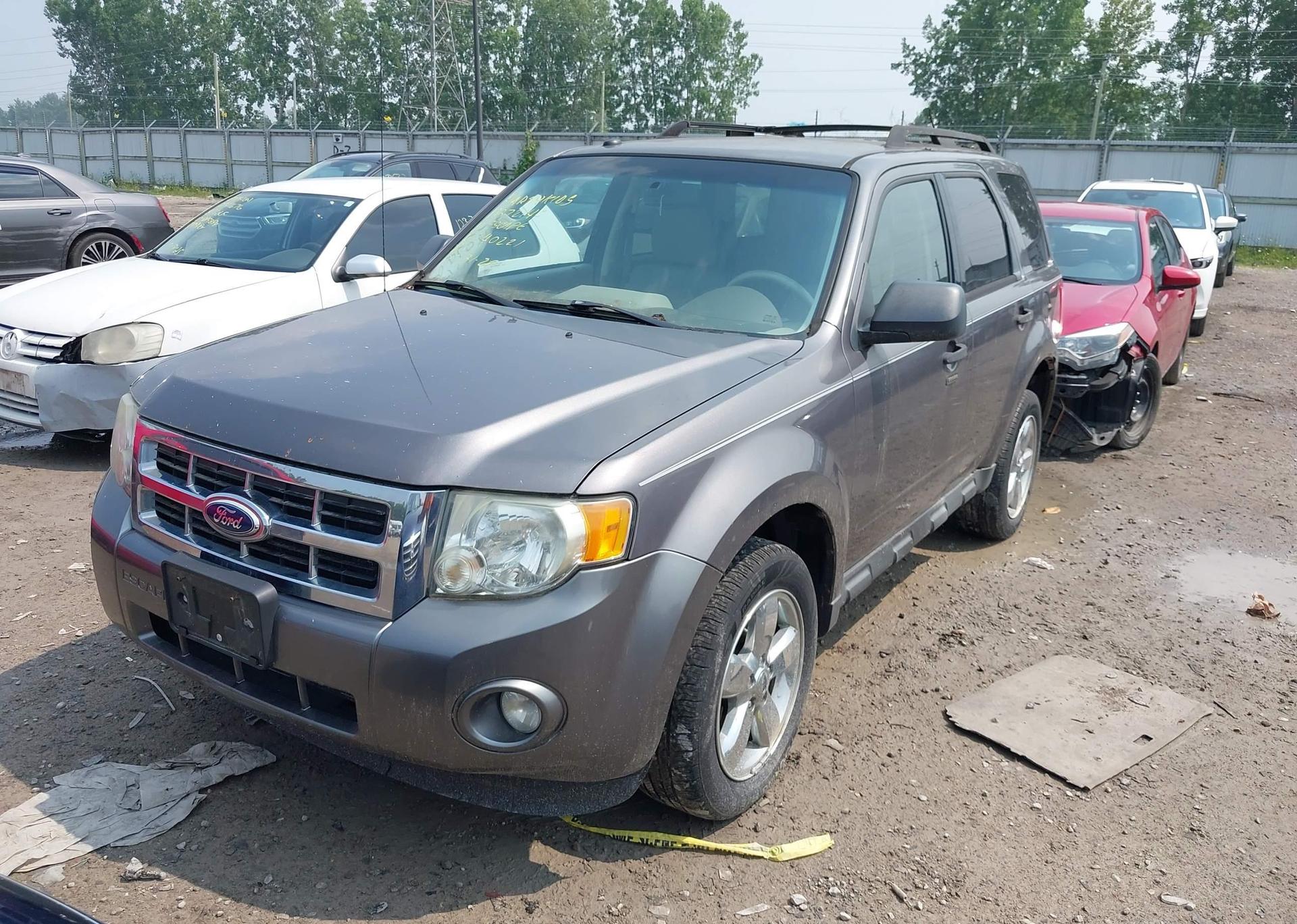 2010 FORD ESCAPE XLT