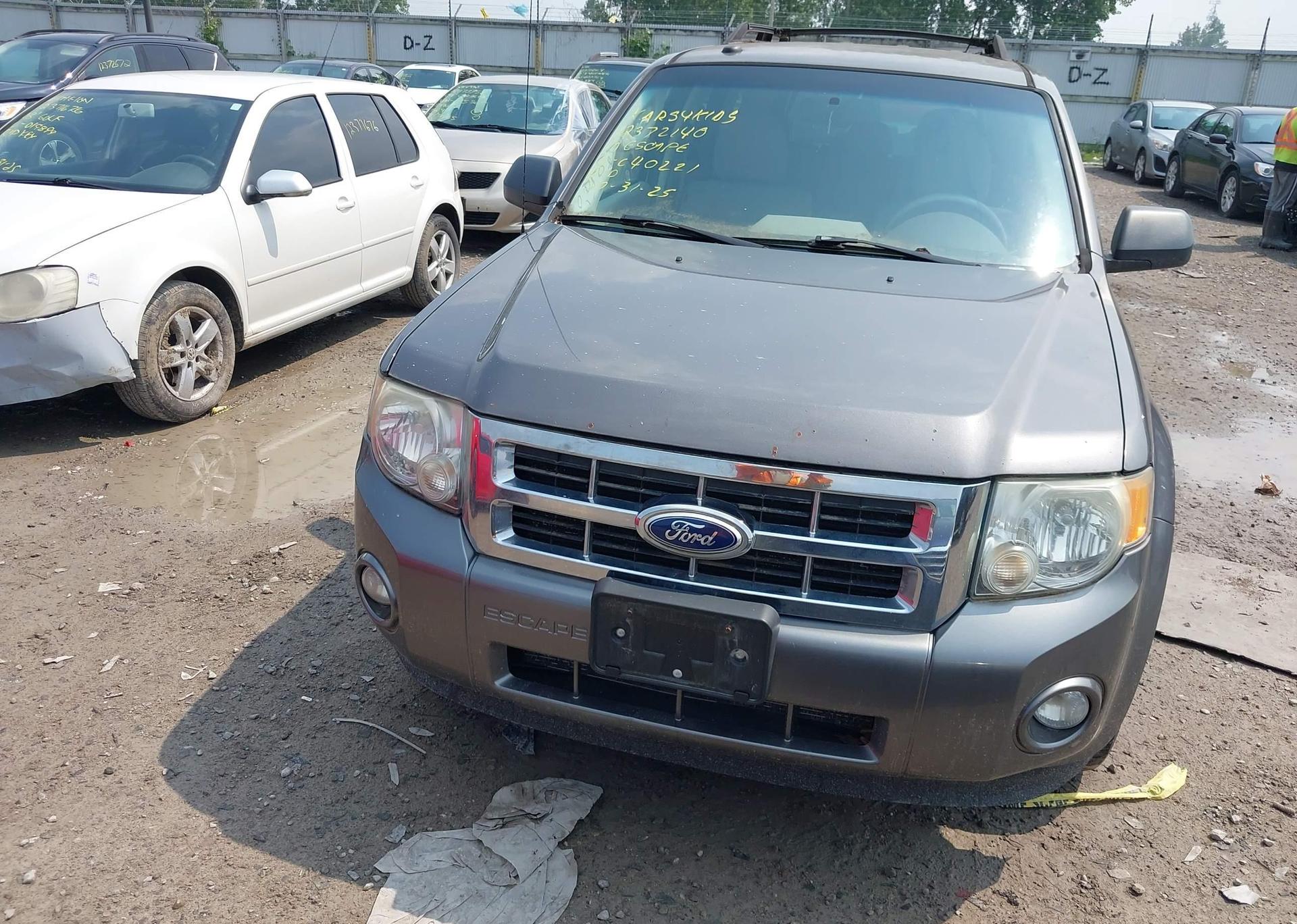 2010 FORD ESCAPE XLT