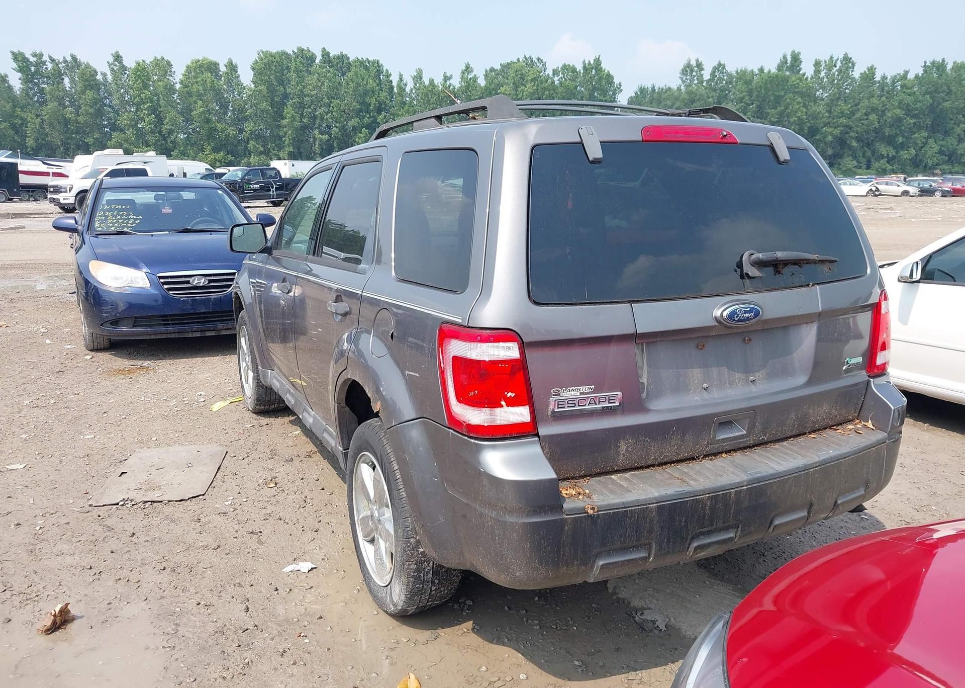 2010 FORD ESCAPE XLT