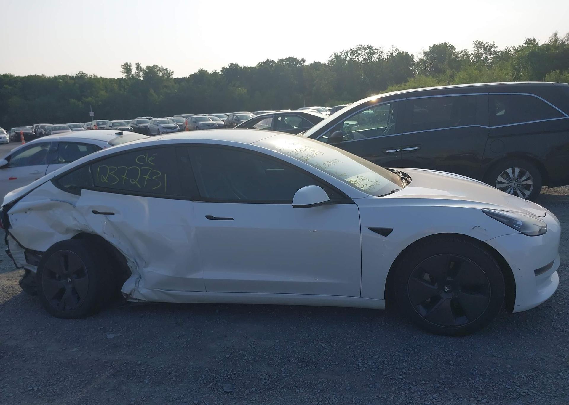 2022 TESLA MODEL 3 RWD