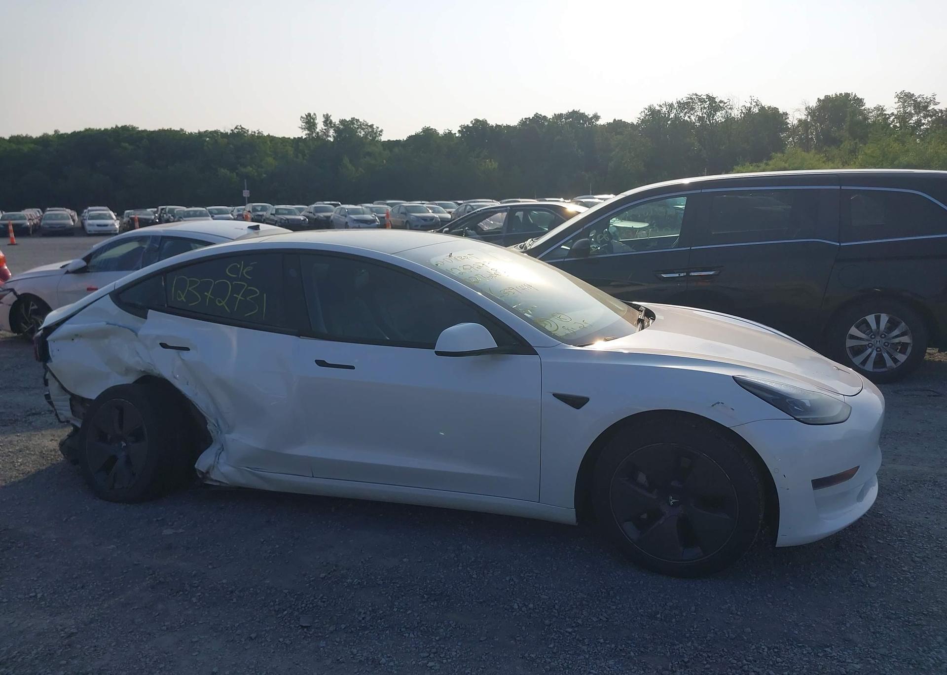 2022 TESLA MODEL 3 RWD